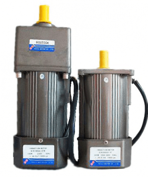 Reverse Gear Motors 200W