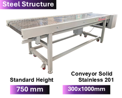 Steel Structure  Stainless 201 Conveyor 300x1000 mm