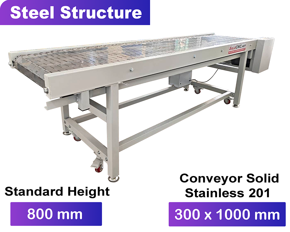 Steel Structure Conveyor